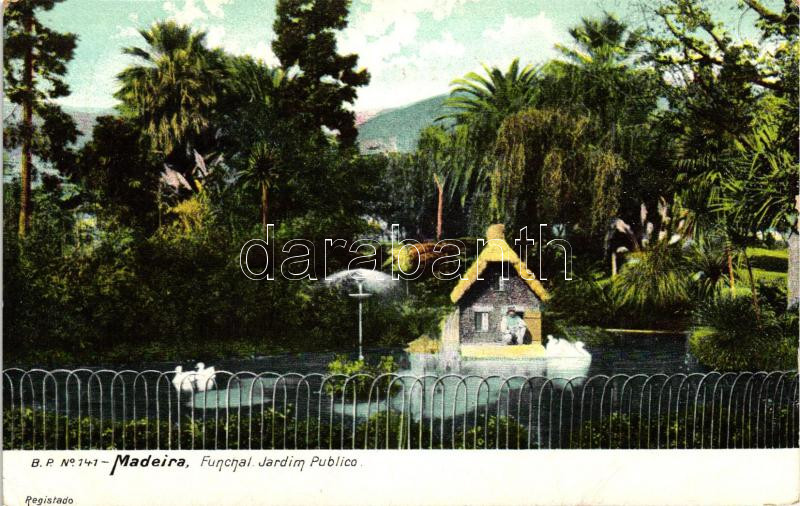 Funchal, Jardim Publico / public garden