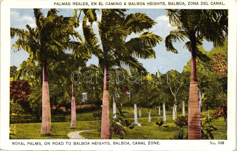 Panama City, Balboa, Royal Palms, road to Balboa Heights