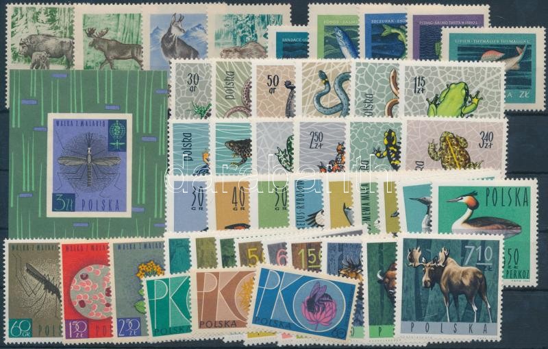 1954-1965 Állat és madár motívum 45 db bélyeg, közte teljes sorok + 1 db blokk, 1954-1965 Animals and bird motives 45 stamps with full sets + 1 block
