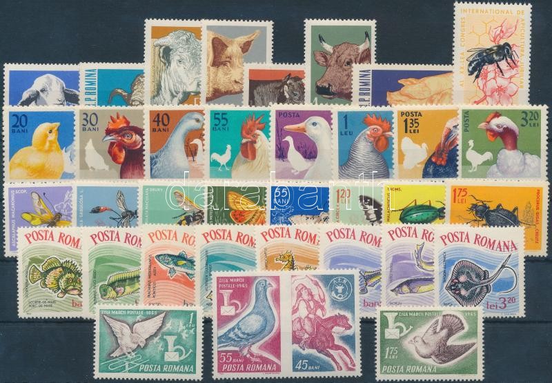 Állat motívum 36 db bélyeg, közte teljes sorok és pár, Animals 36 stamps with sets and pair