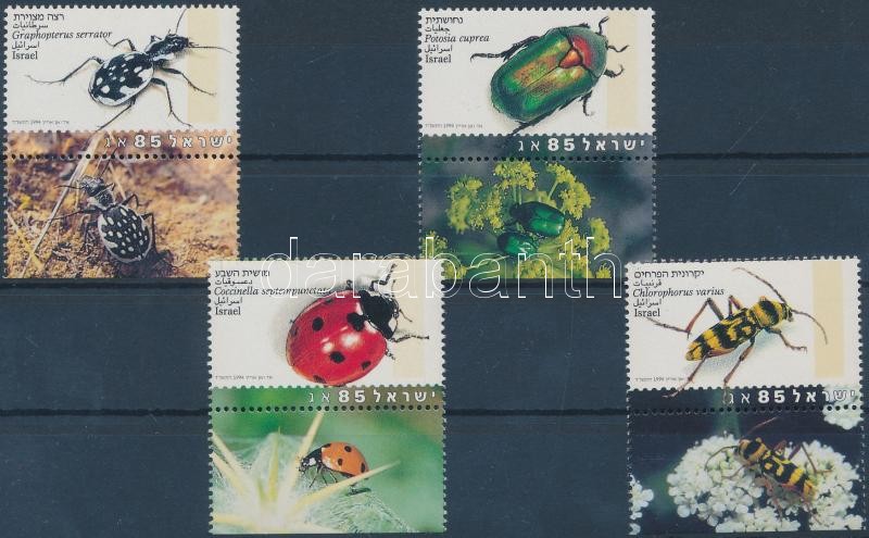 Indigenous beetles set with tab + without tab on 5 FDC, Őshonos bogarak tabos sor + tab nélküli bélyegek (közte ívszéli bélyegek és párok) 5 FDC-n