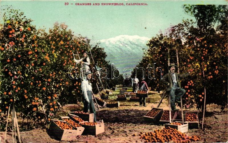 California, Oranges and snowfields