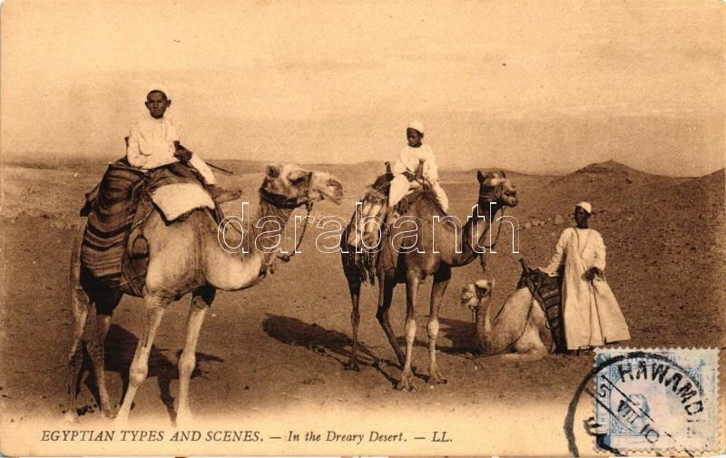 Átkelés a félelmetes sivatagon., Egyptian folklore, camels, In the dreary desert