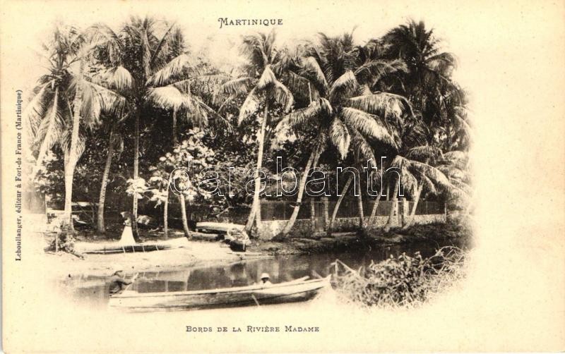 Banks of River Madame, boat, palm trees