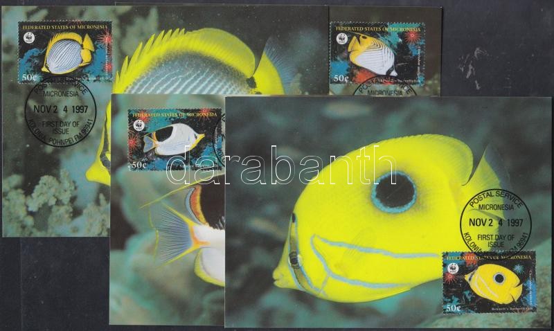 WWF Butterfly Fish set n 4 CM, WWF Pillangóhalak sor 4 CM
