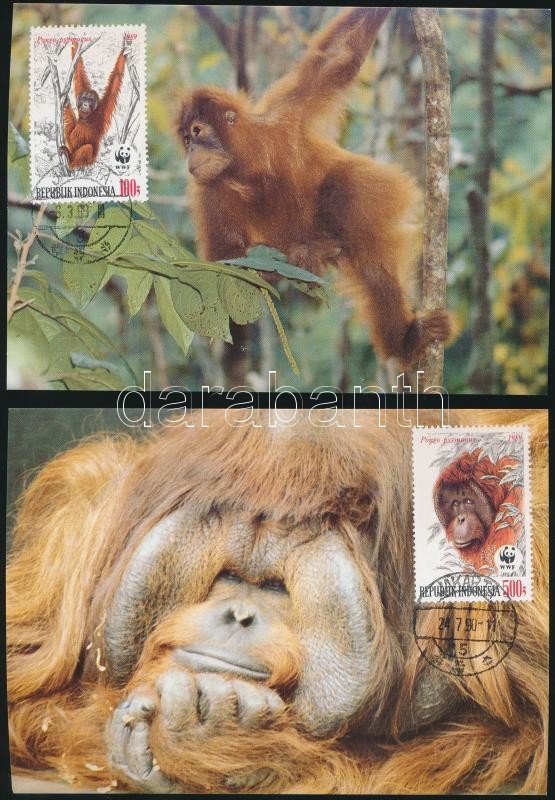 WWF Orangutan set 4 CM, WWF orangután sor 4 CM
