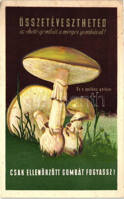 Összetévesztheted az ehető gombát a mérges gombával! Csak ellenőrzött gombát fogyassz! 'Szikra', Hungarian mushroom propaganda