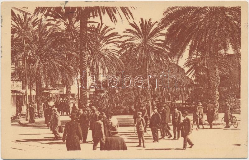 Tunis, Avenue Jules Ferry