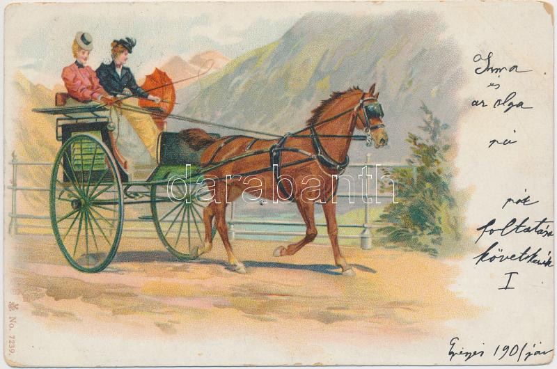 Ladies on horse carriage, No. 7239. litho, Hölgyek lovashintón, No. 7239. litho