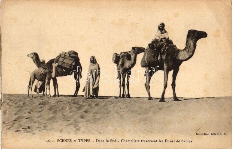 Scenes et types, Dans le Sud, Chameliers traversant les Dunes de Sables / Arabian folklore, camels, Arab folklór