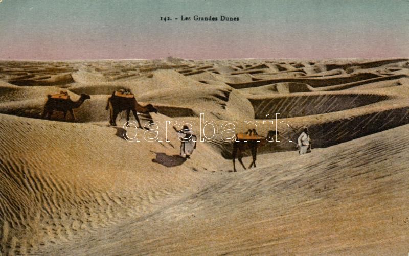 Arab folklór, tevék, Les Grandes Dunes / Arabian folklore, camels