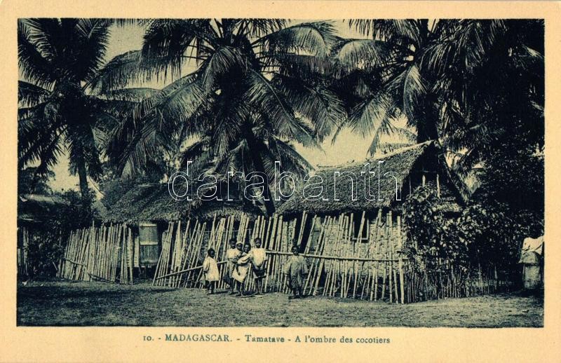 Toamasina, Tamatave; coconut trees