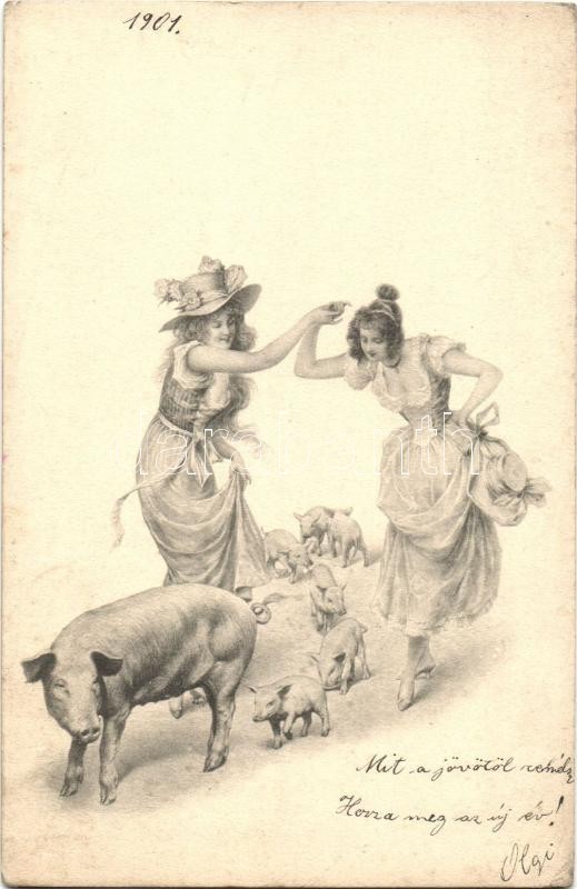 Ladies with pigs, Hölgyek malacokkal