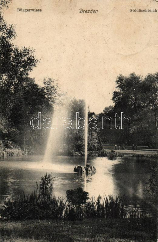 Dresden, Goldfischteich / Goldfish Pond