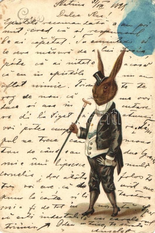 1899 Rabbit gentleman, litho