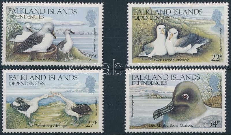 Albatrosz; Madár sor, Albatross Bird set