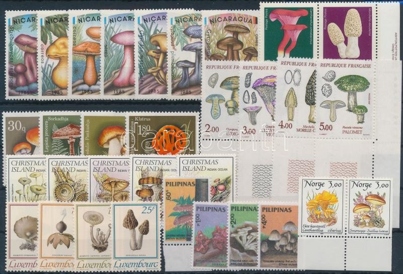 Mushrooms 8 sets with units + 1 stampbooklet, Gomba motívum 8 db teljes sor, közte összefüggések + 1 db bélyegfüzet