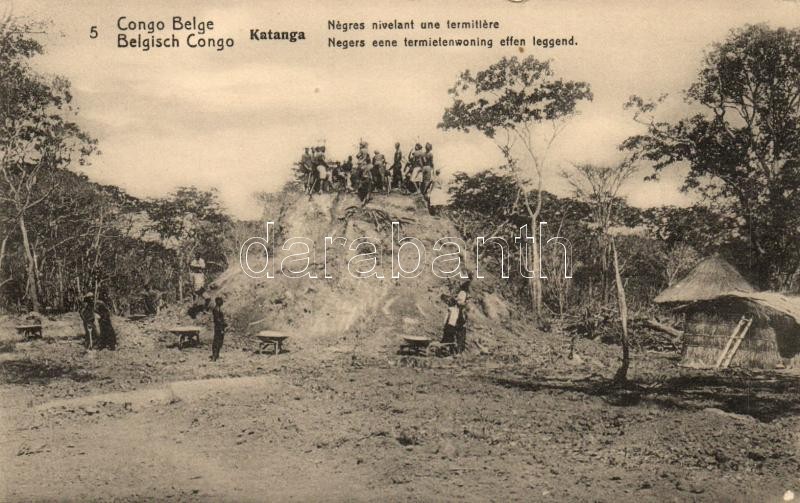 Katanga, black people leveling a termite mound