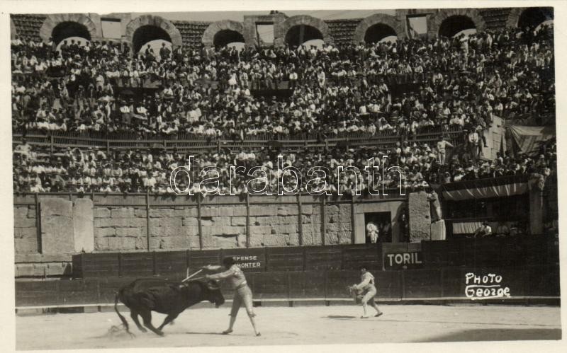 Bullfight, Photo George, Bikaviadal, Photo George