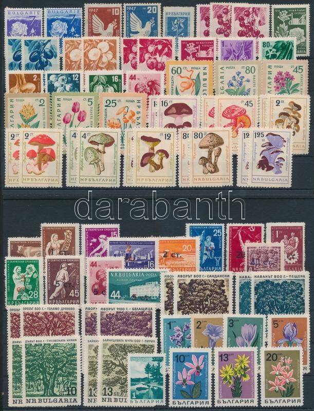 Flowers, plants Bulgaria 1938-1960 77 stamps, Virág, növény motívum Bulgária 1938-1960 77 db bélyeg sorokkal, 2 stecklapon