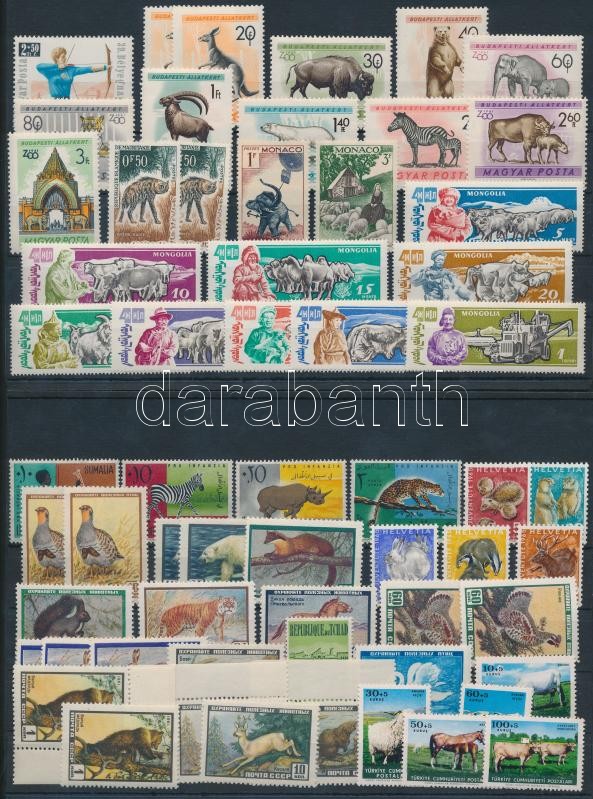 Állat motívum 60 db bélyeg közte teljes sorok és másodpéldányok 2 stecklapon, Animals 60 stamps