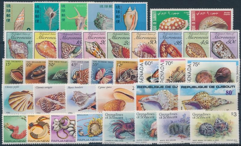 1967-1986 Sea snails and shellfish 9 issues, 1967-1986 Tengeri csigák és kagylók motívum 9 db klf kiadás, közte teljes sorok