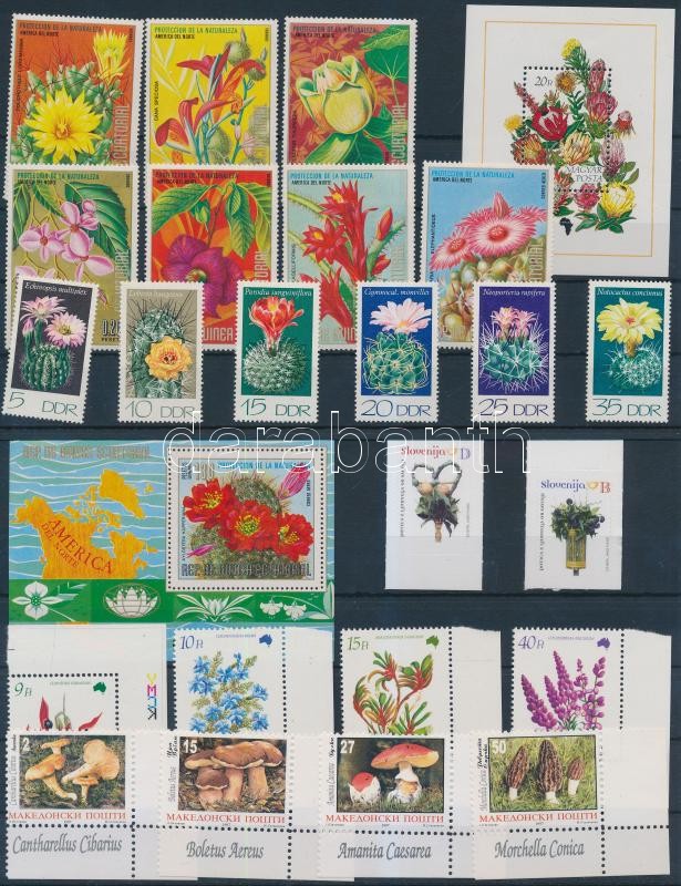 Plants and Fungi 1978-1996 11 sets + 2 blocks, Növények és gombák motívum 1978-1996 11 db sor + 2 klf blokk (3 db stecklapon)