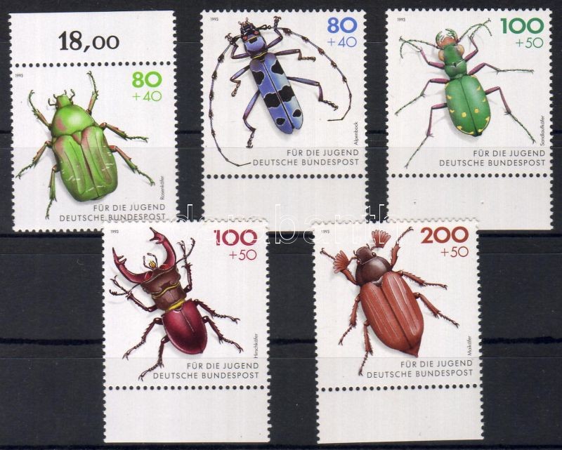 Védett bogarak ívszéli sor, Endangered beetles margin set, Gefährdete Käfer Satz mit Rand