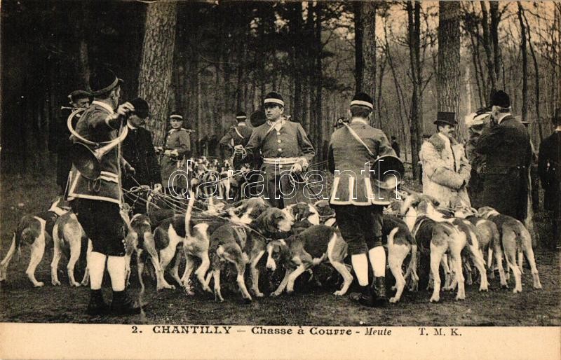 Chantilly, vadászkutyák, Chantilly, Chasse a Courre / hunting dogs