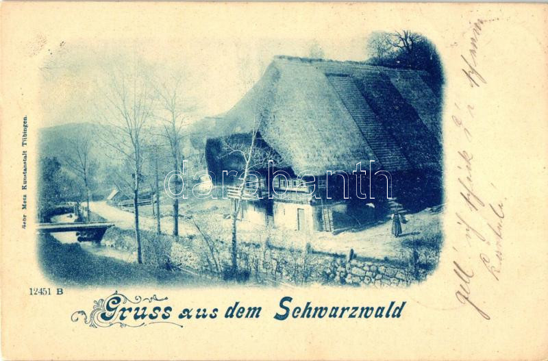 1899 Triberg, Schwarzwald, homestead