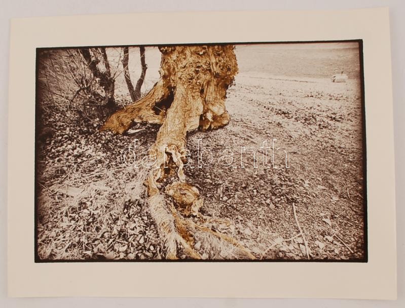 cca 1980 Nagy Csilla: Cím nélkül, pecséttel jelzett vintage fotóművészeti alkotás, 30x40 cm