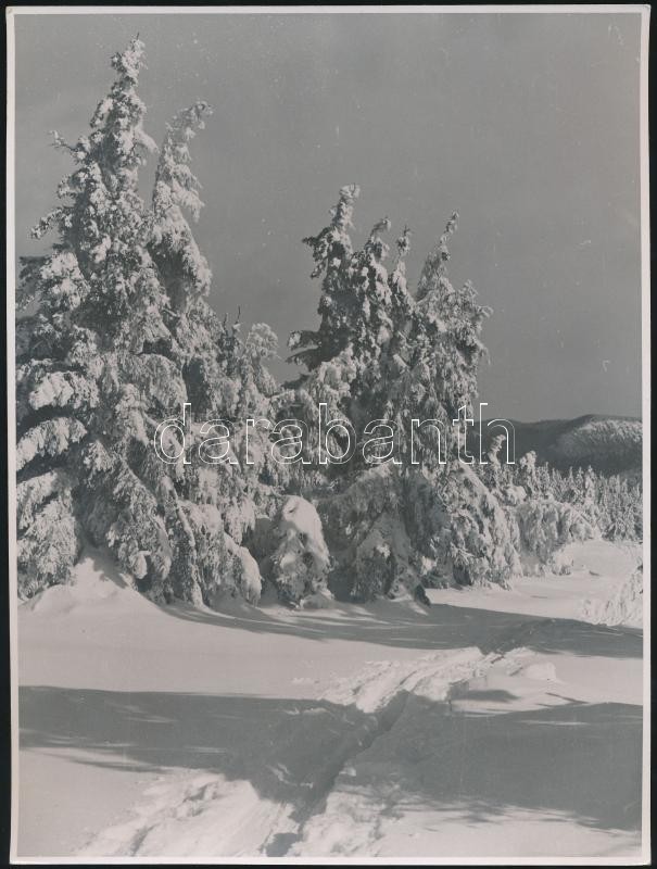 cca 1940 Matheisel József (1908-1961) rozsnyóbányai fotóművész 3 db jelzés nélküli vintage fotóművészeti alkotása a Magas-Tátrából, 24x18 cm