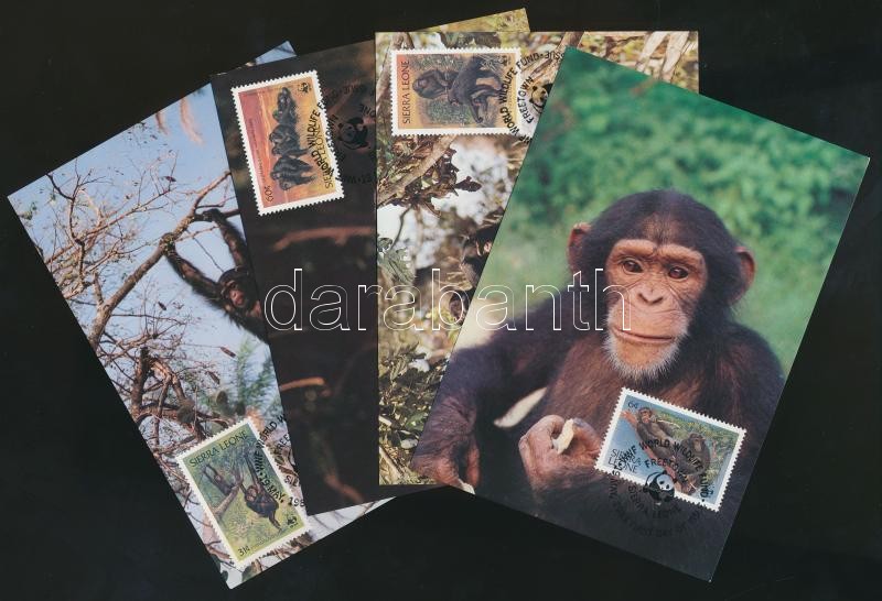 WWF: Csimpánzok sor + 4 db CM + 4 db FDC, WWF: Chimpanzees set + 4 CM + 4 FDC