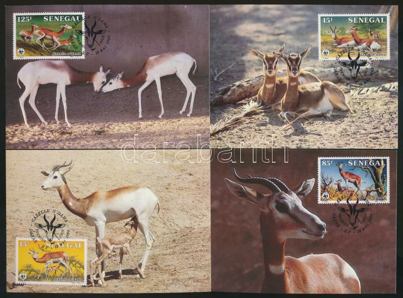 WWF: Gazella set + 4 CM + 4 FDC, WWF: Gazella sor + 4 db CM + 4 db FDC