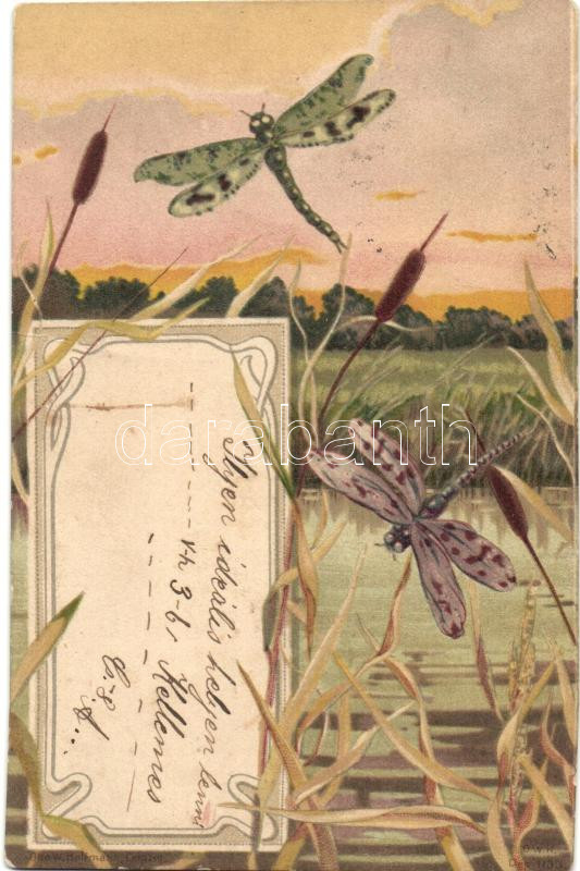 Dragonflies, Art Nouveau litho, Szitakötők, Art Nouveau litho