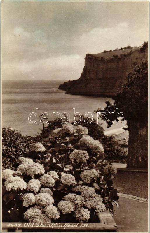 Isle of Wight; Old Shanklin Head, E.A. Sweetman & Son 'Sunshine' series No. 3407