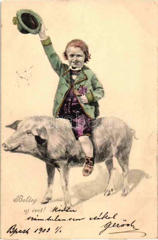 New Year, boy riding a pig