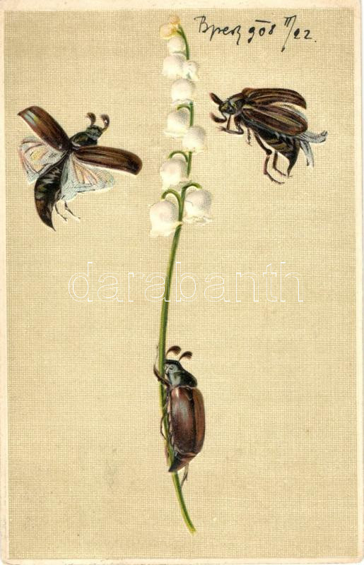 Cockchafer, with campanula flower. Erika No. 3636, litho, Emb., Májusi Cserebogár, harangvirág. Erika No. 3636, litho, Emb.