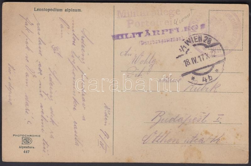 Austria-Hungary Field postcard, Tábori posta képeslap &quot;Militärpflege Portofrei&quot;