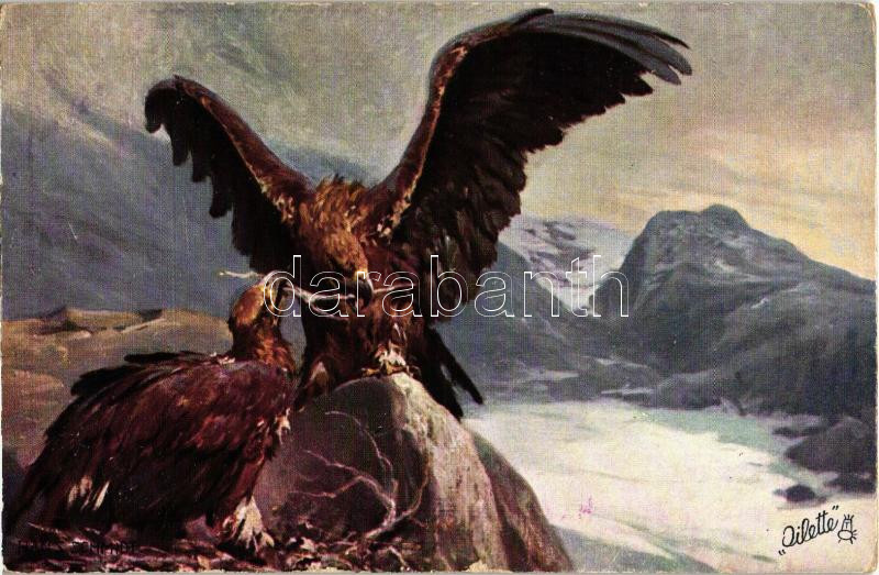 Eagle, Raphael Tuck & Sons Oilette Serie Adler No. 584 B. s: Hans Schmidt, Sas, Raphael Tuck & Sons Oilette Serie Adler No. 584 B. s: Hans Schmidt