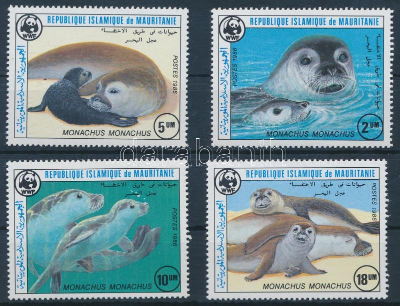 WWF: Fóka sor, WWF Seals set