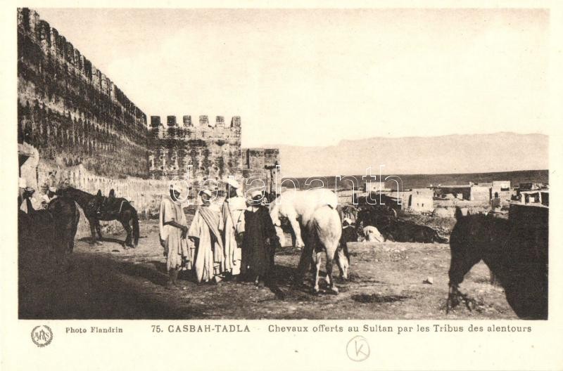 Kasba Tadla, Casbah-Tadla; horses offered to the sultan by the tribes surrounding