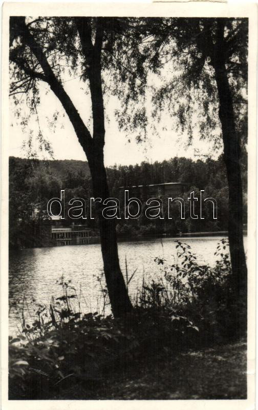 Sovata; lake detail, Szováta-fürdő, Sovata; Medve-tó részlet