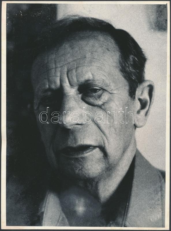 Gáll Ernő (1917-2000) szerkesztő, szociológus, filozófiai író fotója, 24x18cm