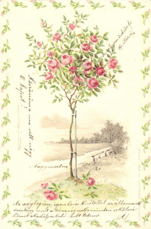 Rose flowers, Erika No. 894., Emb., litho, Rózsafa, Erika No. 894., dombornyomott, litho