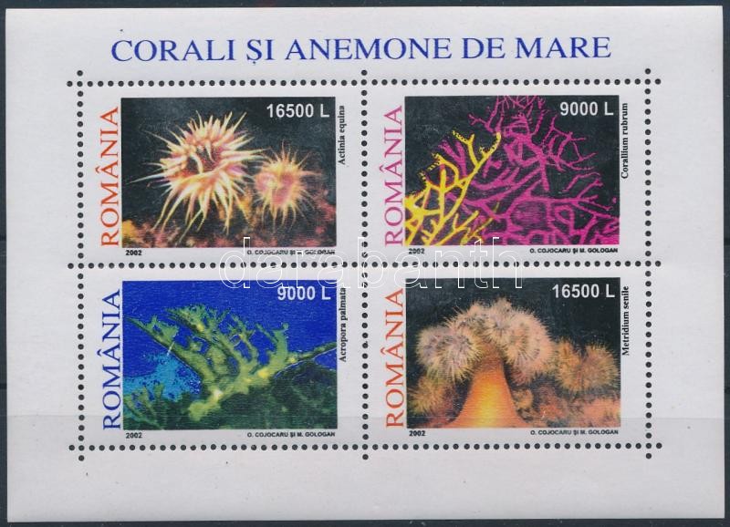 Corals block, Korallok blokk