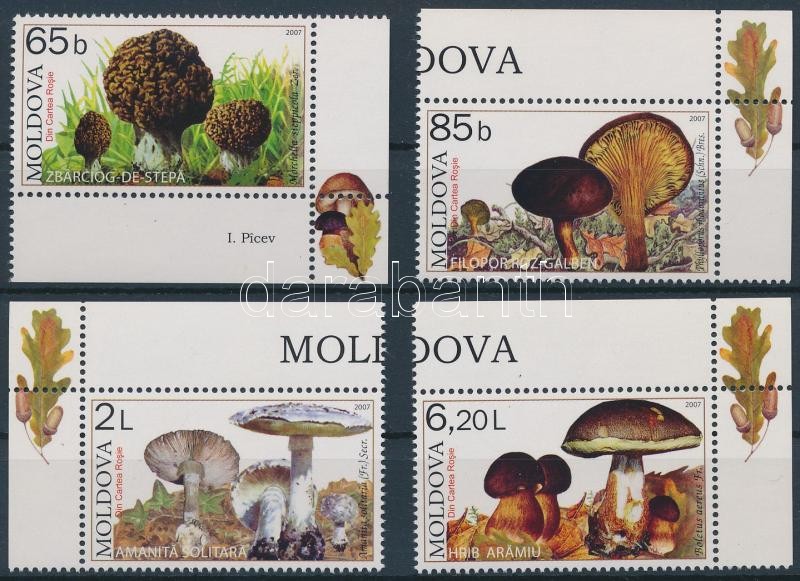 Mushrooms corner set, Gombák ívsarki sor