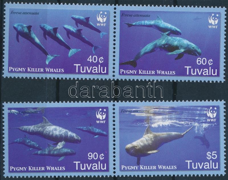 WWF Pygmy killer whales set in pairs, WWF: Törpe kardszárnyú delfinek sor párokban