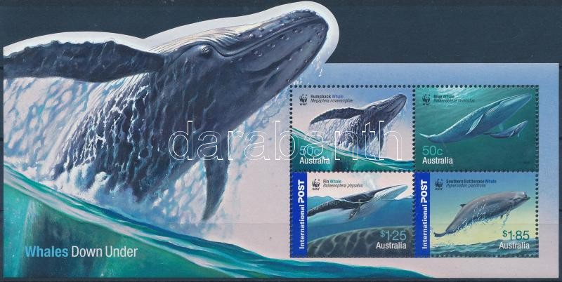 WWF Bálnák blokk, WWF Whales block