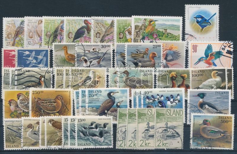 Birds 80 stamps, Madár motívum 80 db bélyeg 2 stecklapon